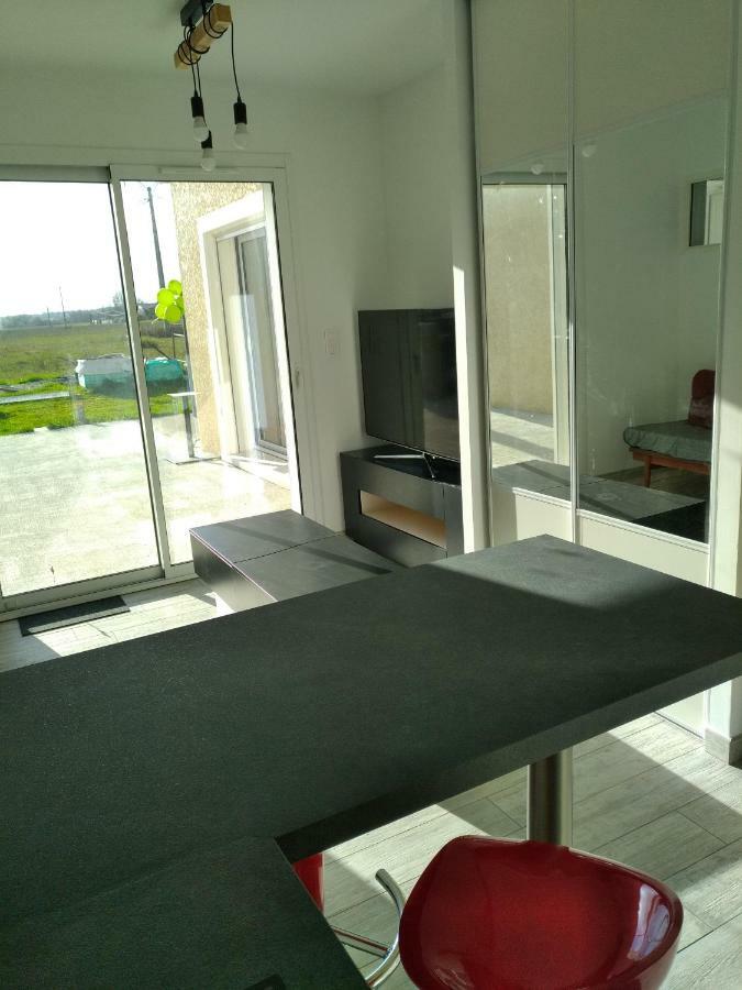Plaisance Du Touch Apartment Luaran gambar